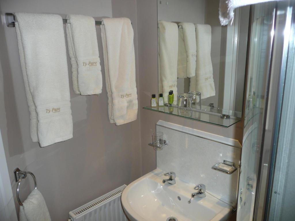Ty-Parc Otel Cardigan Dış mekan fotoğraf
