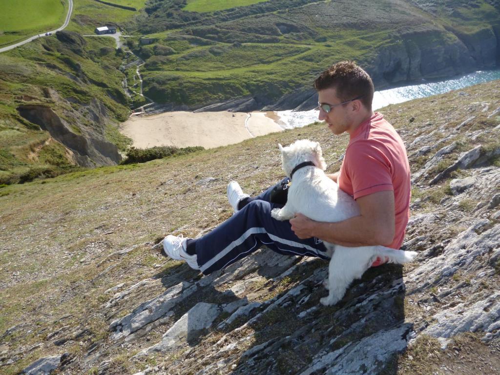Ty-Parc Otel Cardigan Dış mekan fotoğraf